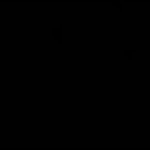 Meet your Posher, Serena